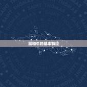 二月鼠和二月牛相配吗(介绍十二生肖中的鼠和牛是否适合搭配)