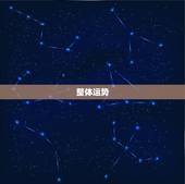 23年属牛人每月运势(2023年12星座运势大介绍)