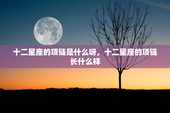 十二星座的项链是什么呀，十二星座的项链长什么样