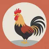 属鸡适合跟什么生肖结婚最好