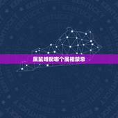 属鼠婚配哪个属相禁忌(如何避免婚姻破裂)