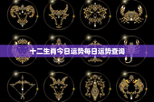 十二生肖今日运势每日运势查询：命运竞逐，财运大揭秘