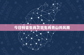 今日特吉生肖次吉生肖青山共风雨：特吉VS次吉，谁更幸运？