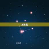 龙配什么生肖婚姻(介绍配对)