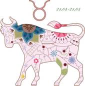 金牛座运势查询：精准解读未来48小时关键节点