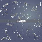 1995属猪多少岁了(猪年人的年龄计算方法介绍)