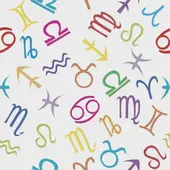 属猪的2025年多大了虚岁呢：2025年属猪今年几岁