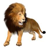 天蝎女为什么要远离狮子男(星座配对的致命缺陷)