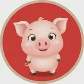 属猪是哪一年的今年多少岁了：属猪的今年多大年龄了