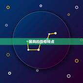 属狗的婚配属相出生年(如何选择配偶)