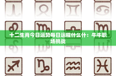 十二生肖今日运势每日运程什么什：牛牛职场挑战！虎虎奋斗机遇