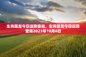 生肖属龙今日运势查询，生肖属龙今日运势查询2023年10月6日