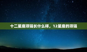 十二星座项链长什么样，12星座的项链