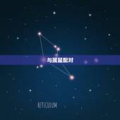 女属猴与什么属相(配对指南)