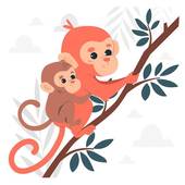 92属猴女的婚姻和命运(如何避免婚姻危机提升命运)