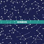 能让双子男不花心的星座(哪些星座能够抓住他们的心)