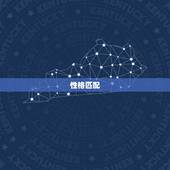 属兔结婚找属什么(如何选择婚姻对象)