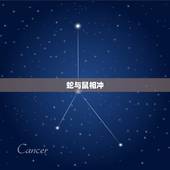 蛇和什么属相相冲相合(属相相生相克大介绍)