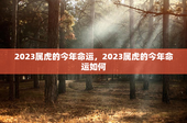 2023属虎的今年命运，2023属虎的今年命运如何