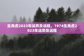 生肖虎2023年运势及运程，1974生肖虎2023年运势及运程