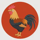 69属鸡的今年多大了2025：1969年属鸡多少岁