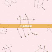 测测我今日的运气如何(介绍今日运势助你开启好运之门)