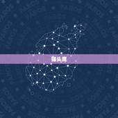 蛇最怕的三种克星动物(介绍哪些动物能让蛇闻风丧胆)