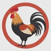 属鸡的是哪一年生人都是什么命的：属鸡生肖性格