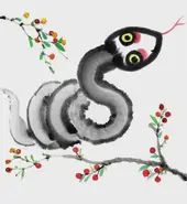 麦玲玲2025生肖运势解析：12属相详细运势清单