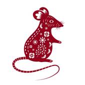 84年属鼠的最佳配偶虎(完美匹配爱情长跑的最佳选择)