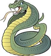 属蛇2023年财运方位(财运旺盛财源滚滚来)