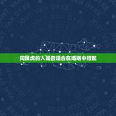 生肖虎和虎婚姻般配吗(介绍同属虎的婚姻是否适合)