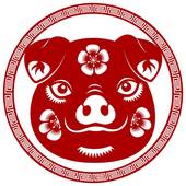 生肖猪的上上等婚配女7(完美匹配的爱情奇迹)