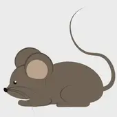 十二生肖农历读法图解：一图掌握日期对照表