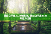 属蛇白羊座2023年运势，属蛇白羊座2023年运势运程