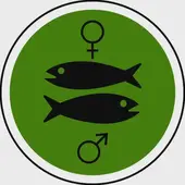 双鱼座今日运势预测：2025年2月9日精准指南