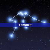 12生肖表年龄对照表(了解你的年龄对应哪个生肖)