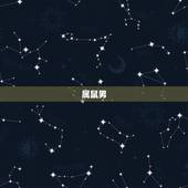 水瓶座拍档(4个属相男推荐)