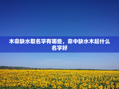 木命缺水取名字有哪些，命中缺水木起什么名字好