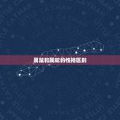 属鼠和蛇的婚配怎么样(如何化解属相不合的难题)