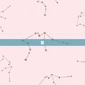 十二生肖一到十二排名(谁是)