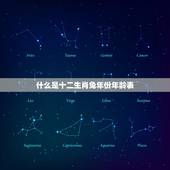 十二生肖兔年份年龄表(你的年龄是否与兔年份相符)