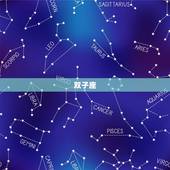 天秤座喜欢的三个星座(匹配双子、水瓶、狮子)