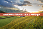 查询生辰八字免费网站，生辰八字查询app