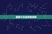 属猴今日运势查询网：爱情关系何去何从？