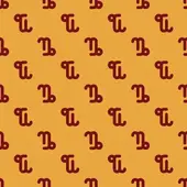 摩羯座今日运势解析：2月9日精准指南