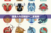 属兔人今日财运十二星座网：机遇与挑战齐飞，如何决断明智应对？