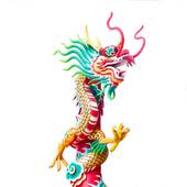 1976年甲辰龙：家庭贵人与职场领袖