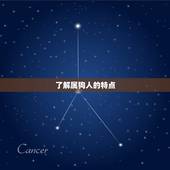 属狗戴什么生肖旺自己(如何选择适合自己的生肖饰品)