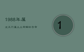 1988年属龙五行属土，土命解析与命运探究